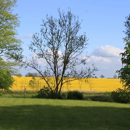 Land Gut Hermann Bentwisch