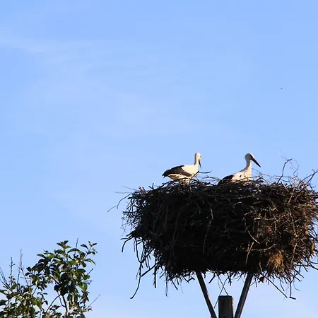 Land Gut Hermann Bentwisch