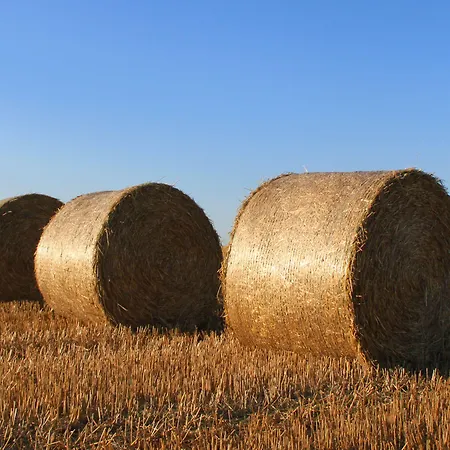 Land Gut Hermann Hotel Bentwisch