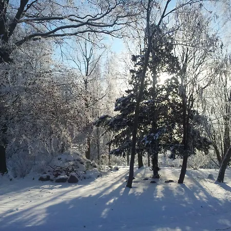 Land Gut Hermann Bentwisch