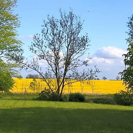 Land Gut Hermann Bentwisch